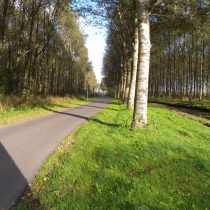 route